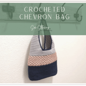 Crocheted Chevron Bag