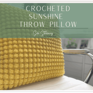 crocheted throw pillow
